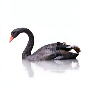 Incerto Book 1 Spanish Science Technology Kindle Edition-0