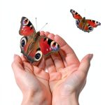 Manos que curan Spanish Kindle book personal development-0